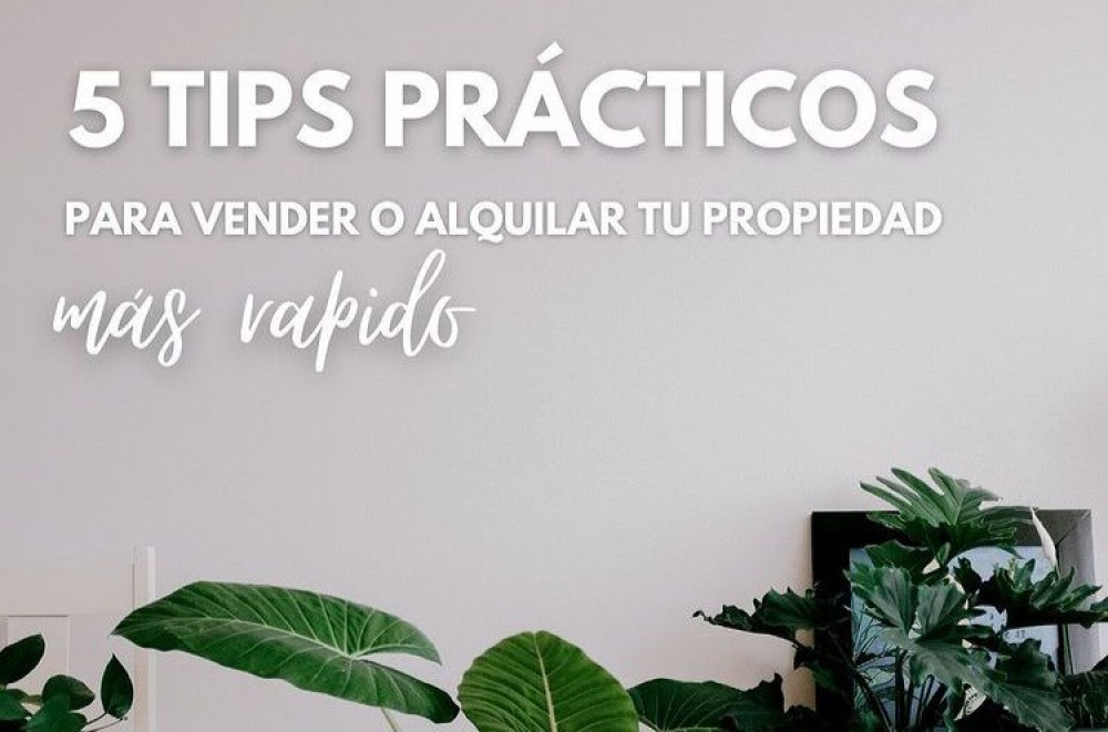 5 TIPS PARA VENDER O ALQUILAR TU PROPIEDAD MÁS RÁPIDO